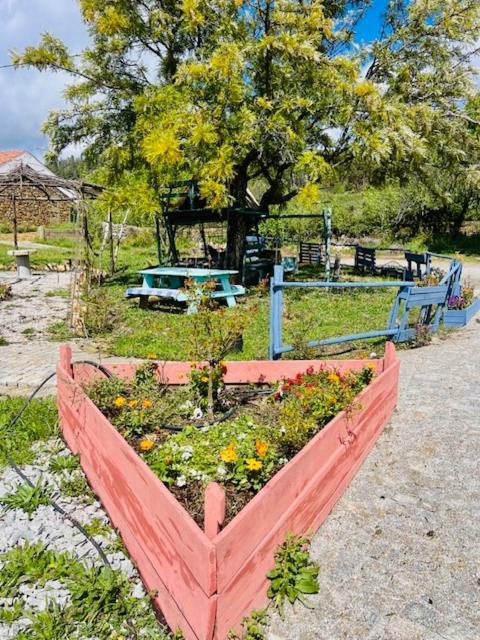 Zion Jardim Monsanto Bed & Breakfast ภายนอก รูปภาพ